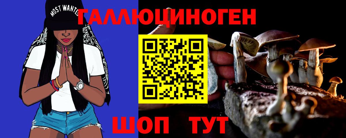 Псилоцибиновые грибы мицелий  Псилоцибиновые грибы ЛСД  Луга  Вход с VPN 