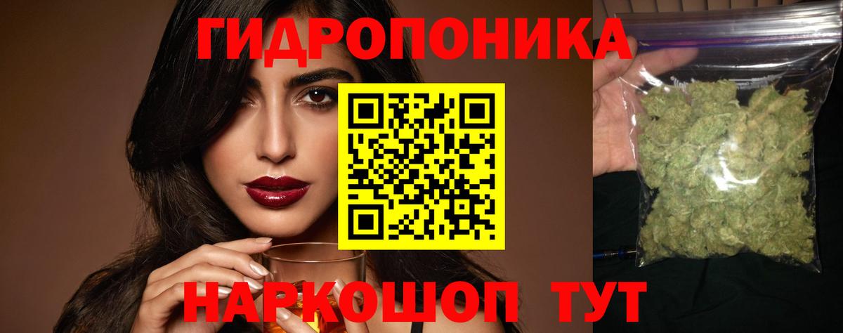 Луга  Каннабис сатива  Вход с VPN  Каннабис планчик 